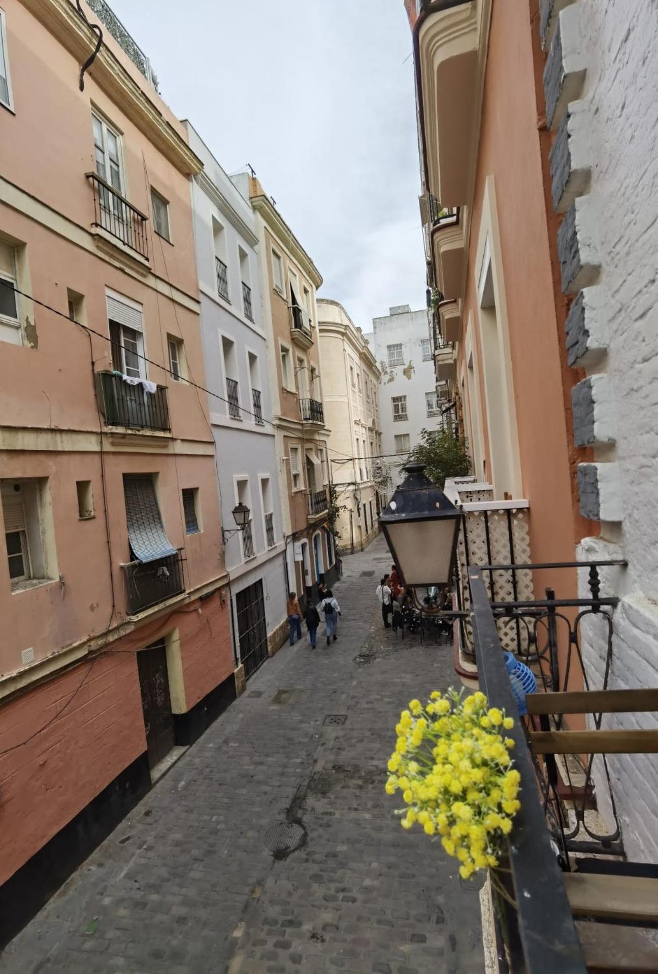 Estrena Casa Unica Con Encanto En El Populo Daire Cadiz Dış mekan fotoğraf